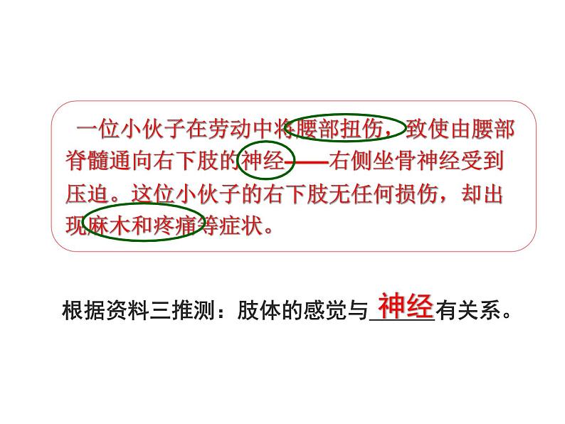 第二节 神经系统的组成第7页