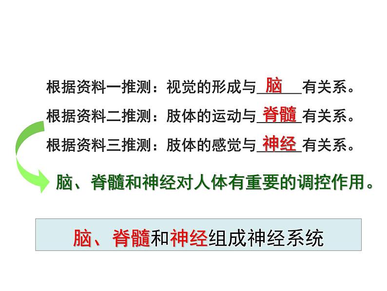 第二节 神经系统的组成第8页