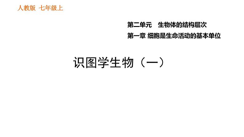人教版七年级上册生物习题课件 第二单元 识图学生物(一)01