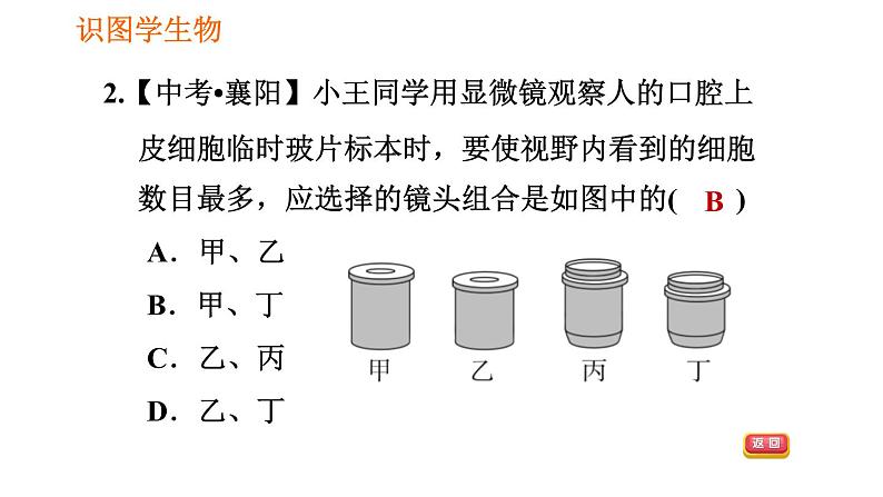 人教版七年级上册生物习题课件 第二单元 识图学生物(一)05