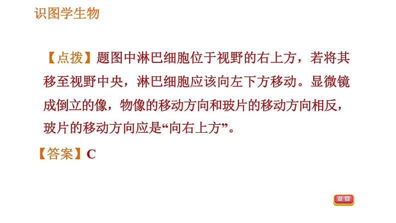 人教版七年级上册生物习题课件 第二单元 识图学生物(一)07