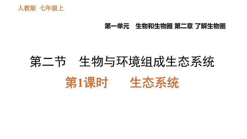 人教版七年级上册生物习题课件 第一单元 1.2.2.1 生态系统第1页