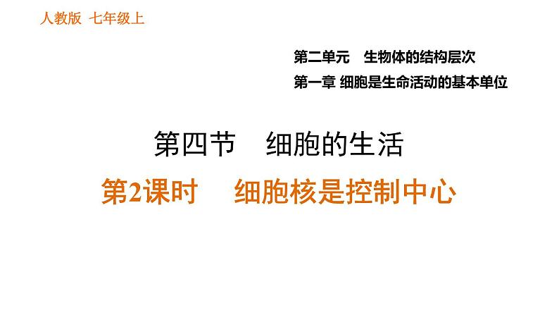 人教版七年级上册生物习题课件 第二单元 2.1.4.2 细胞核是控制中心第1页