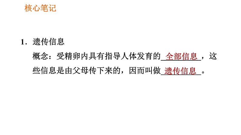 人教版七年级上册生物习题课件 第二单元 2.1.4.2 细胞核是控制中心第2页