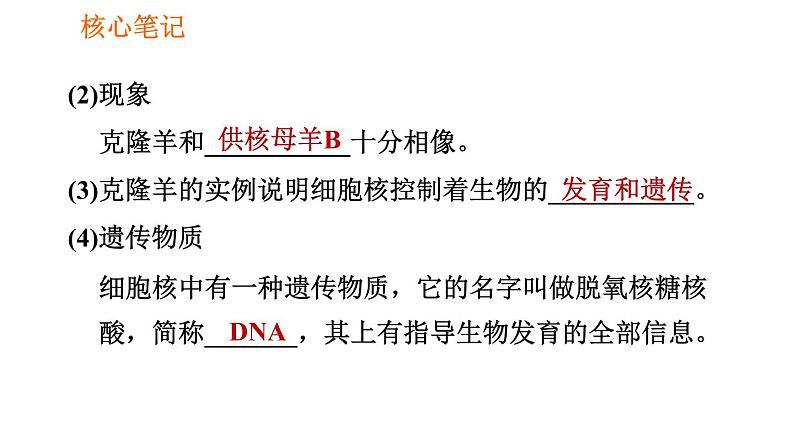 人教版七年级上册生物习题课件 第二单元 2.1.4.2 细胞核是控制中心第4页