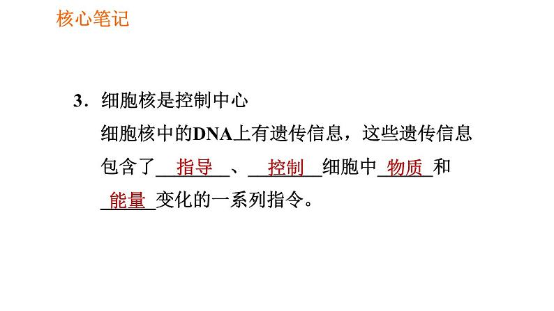 人教版七年级上册生物习题课件 第二单元 2.1.4.2 细胞核是控制中心第6页