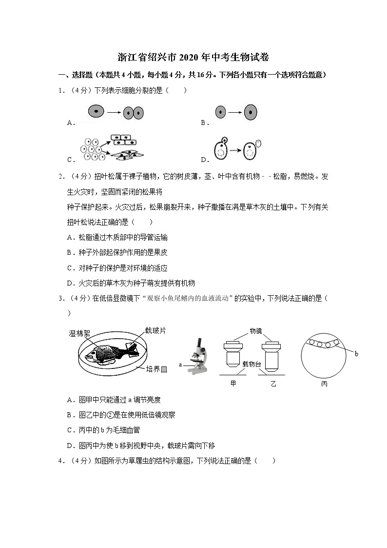 2020年浙江省绍兴市中考生物试卷01