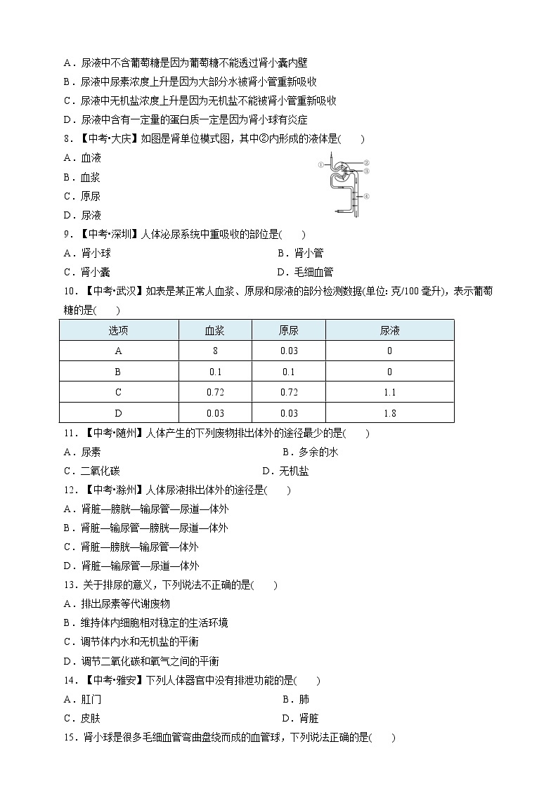 人教版生物七年级下册专项训练五  人体内废物的排出02