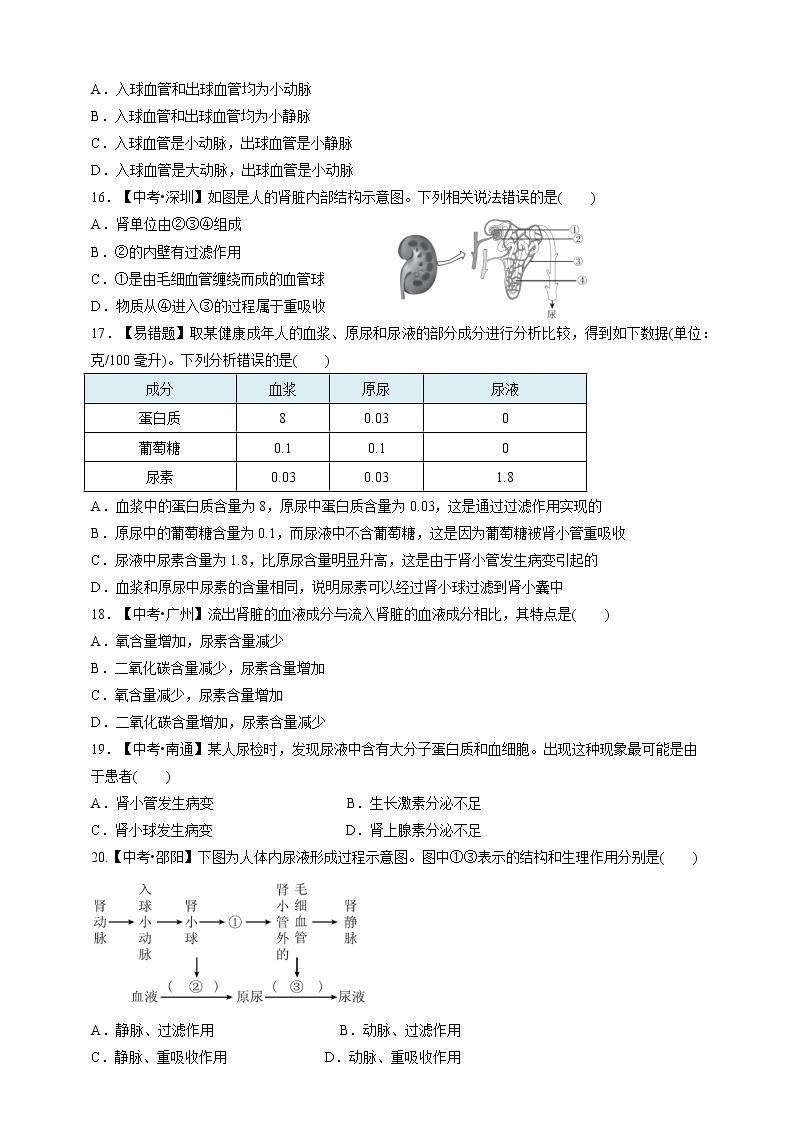 人教版生物七年级下册专项训练五  人体内废物的排出03