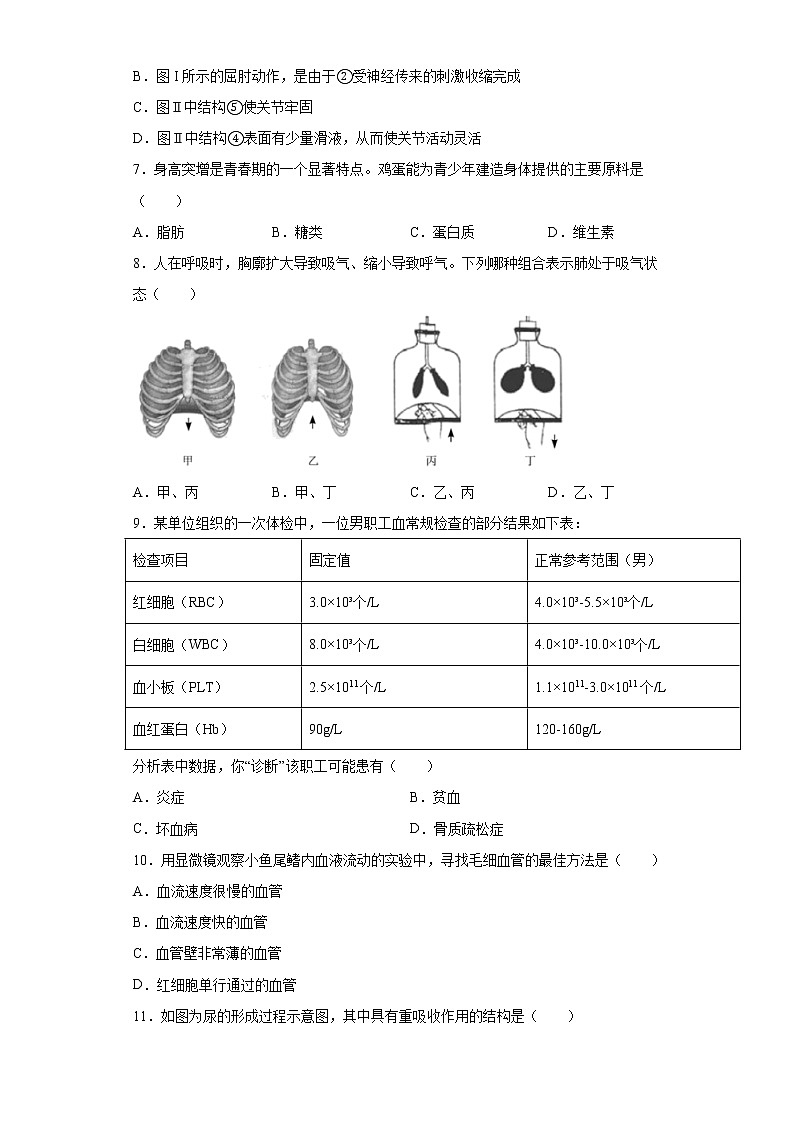2021年山东省济宁市泗水县中考二模生物试题(word版 含答案)第2页