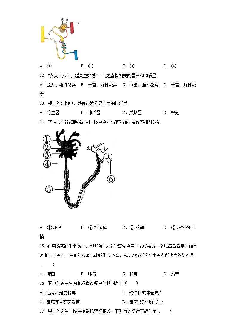 2021年山东省济宁市泗水县中考二模生物试题(word版 含答案)第3页