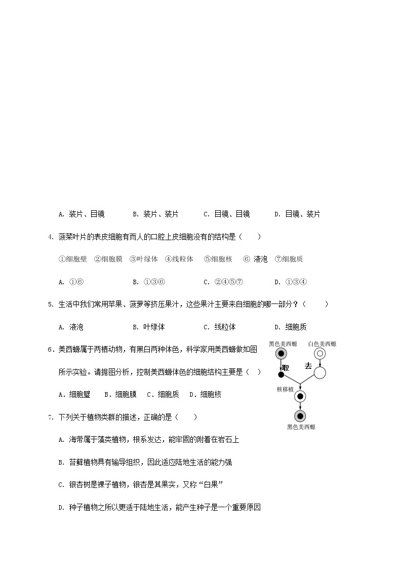 2020-2021学年山东省济南市平阴县人教版生物七年级上学期期末考试试题（word版 含答案）02