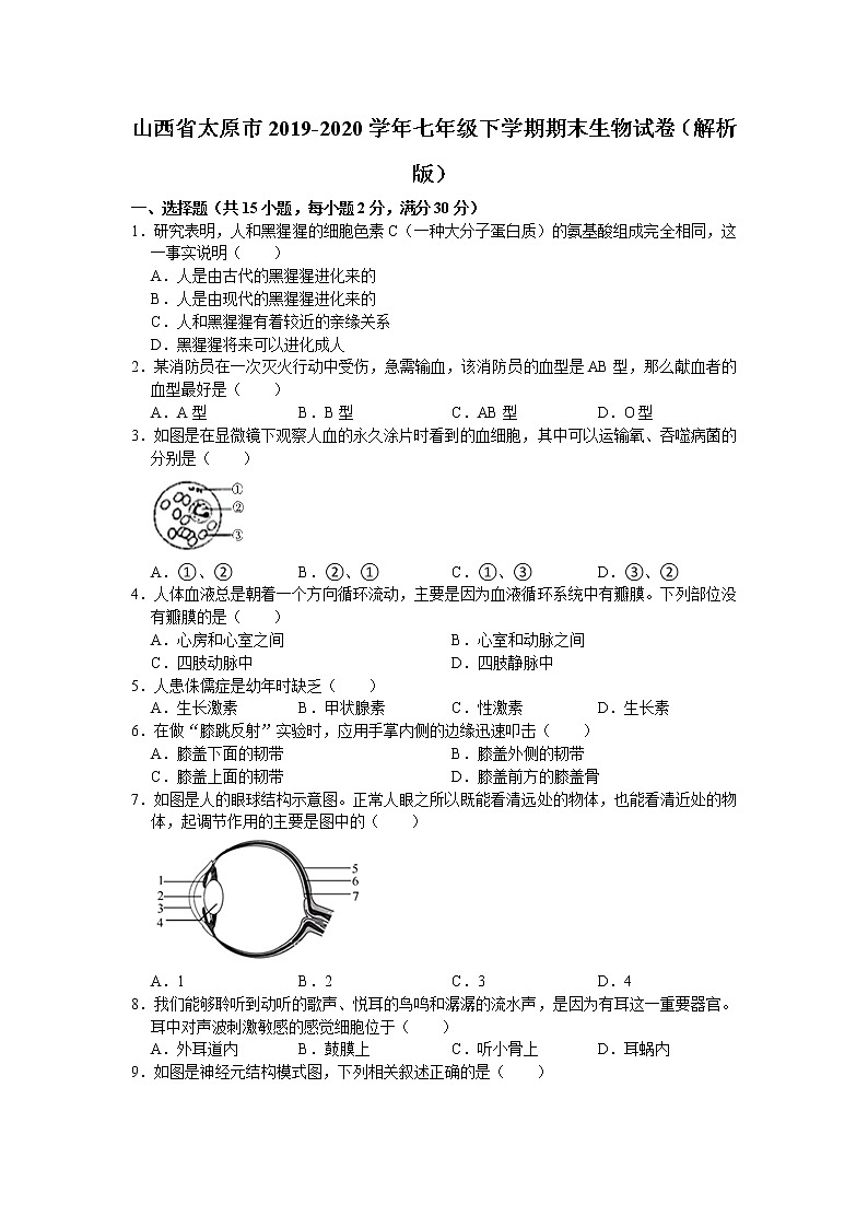 山西省太原市2019-2020学年七年级下学期期末生物试卷(word版 含答案)01