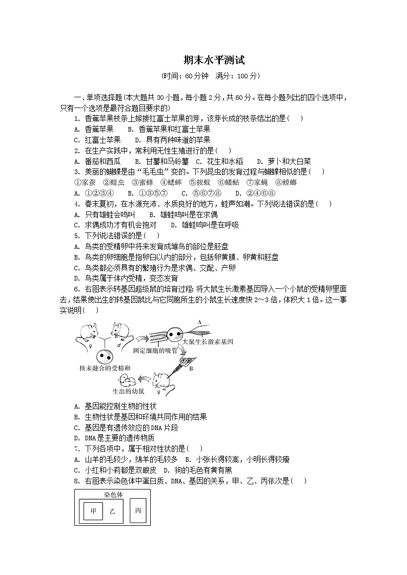 期末综合水平测试二 2020-2021学年八年级下学期生物期末水平考试试题(word版 含答案)01