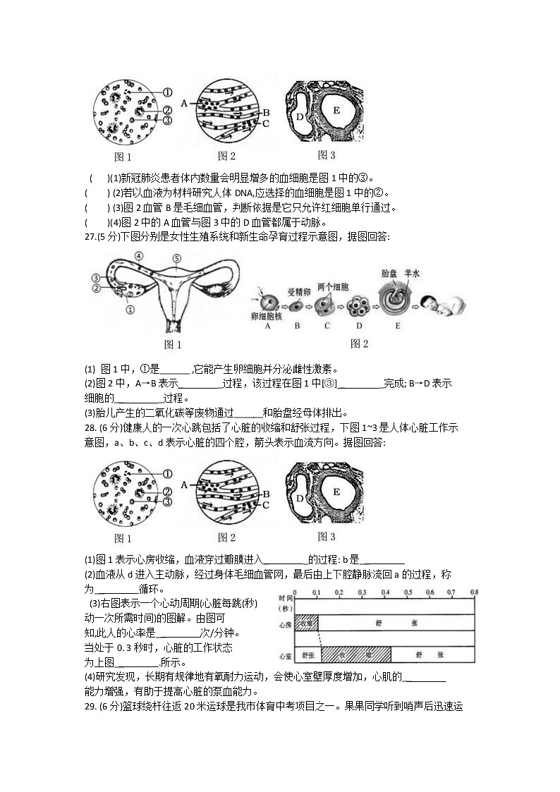 福建省三明市2020-2021學(xué)年七年級(jí)下學(xué)期期末教學(xué)質(zhì)量檢測(cè)生物試題（word版，含答案）第3頁