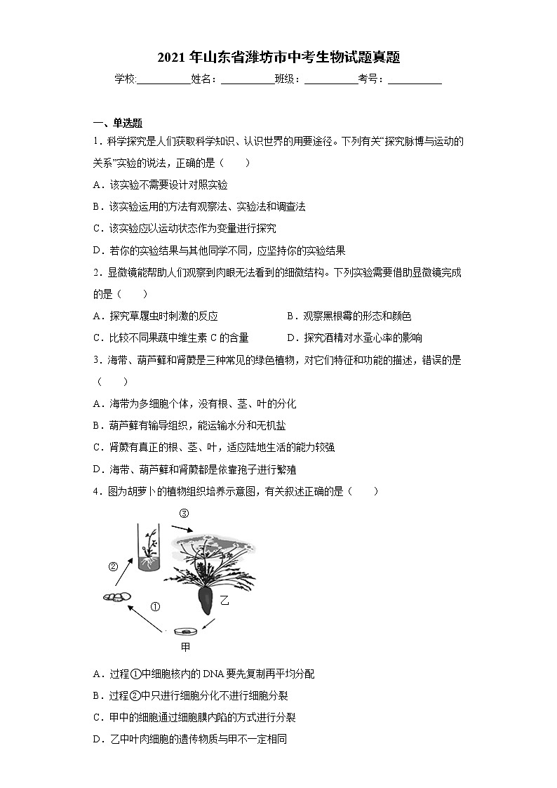 2021年山东省潍坊市中考生物试题真题及答案(word版)第1页