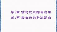 信息技术第4章 信息技术综合应用第1节 杀虫剂的功过是非备课ppt课件