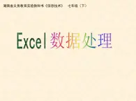 湖南省郴州市第八中学七年级《信息技术》下册-excel数据处理 课件 (共18张ppt)