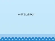 北师大版信息技术七年级下册 3.7初识数据统计 课件(共13张PPT)