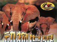 浙教版信息技術(shù)七年級上冊 第十二課 超鏈接的應(yīng)用 教案 課件