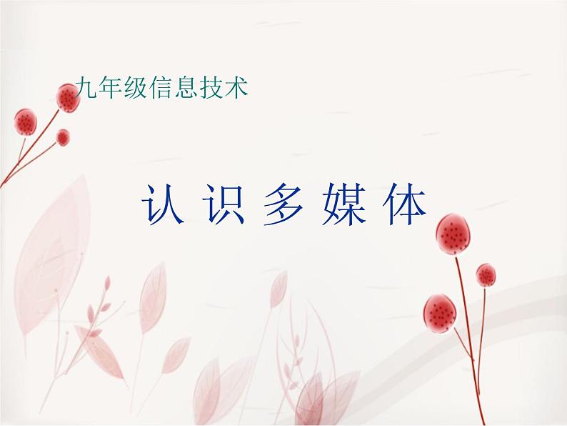 浙教版信息技术七年级下册 第一课 认识多媒体 课件 教案 课后练习01