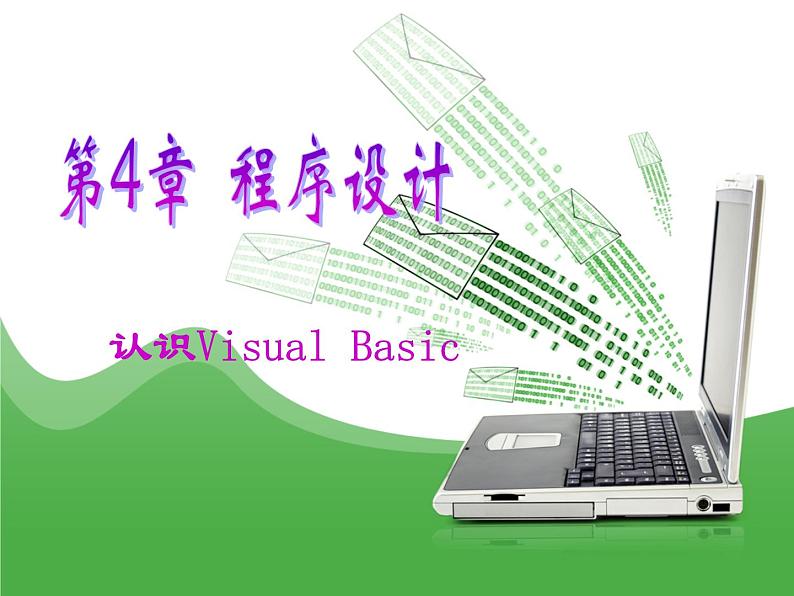 苏科版(2018)八年级全册信息技术 4.1.4认识Visual Basic 课件01