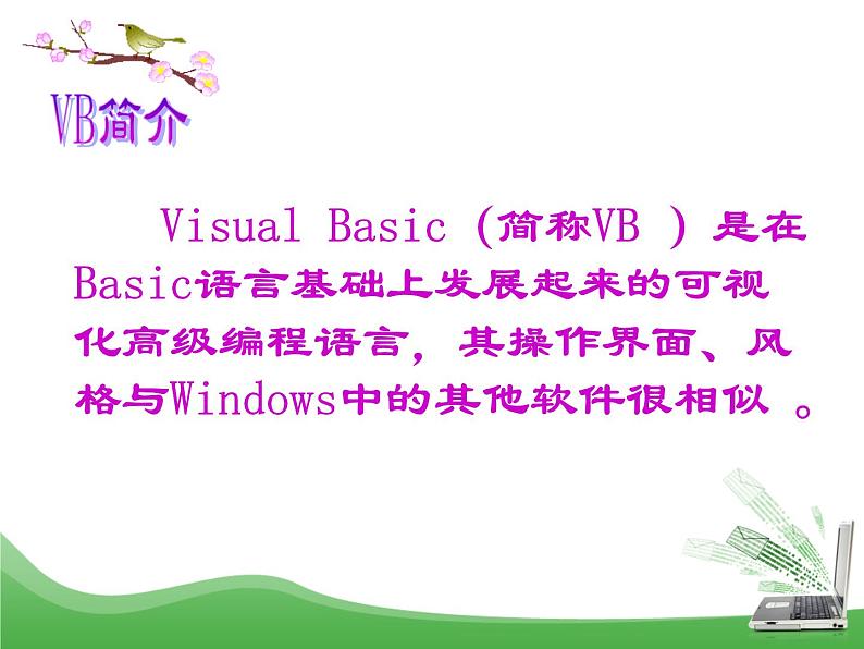 苏科版(2018)八年级全册信息技术 4.1.4认识Visual Basic 课件02