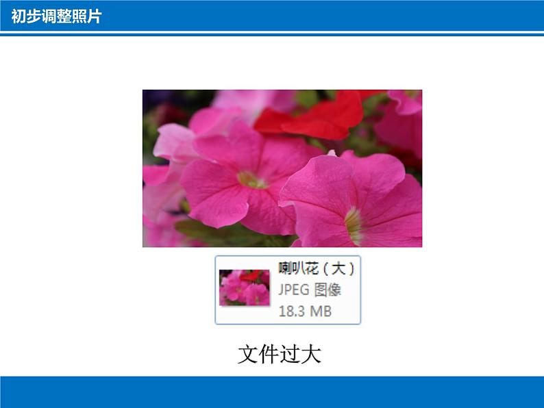 科学版信息技术七下 第一单元 活动1 拍摄调整照片 课件PPT+练习(含答案)05
