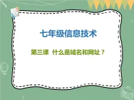 新世纪版信息技术七上第三课-什么是域名和网址 课件PPT