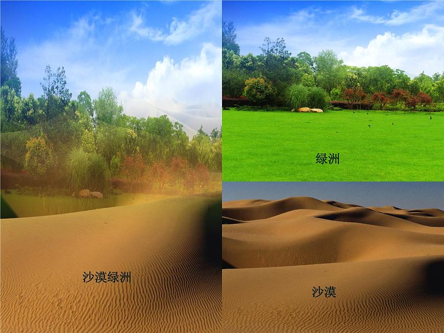 人教版信息技術(shù)八上 2.2 剪裁與拼接圖像 課件PPT第7頁
