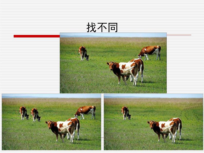 桂科版七年级下册信息技术 4.2修补图像 课件05
