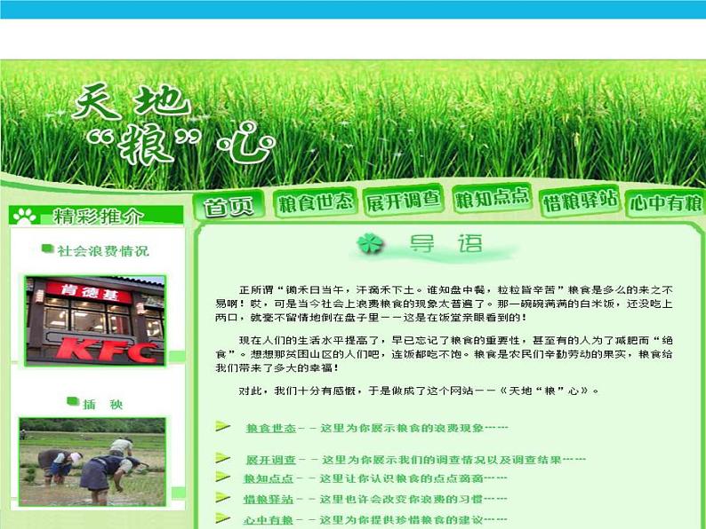 浙教版八年级信息技术上册第三单元网站制作第9课走进网站课件第5页