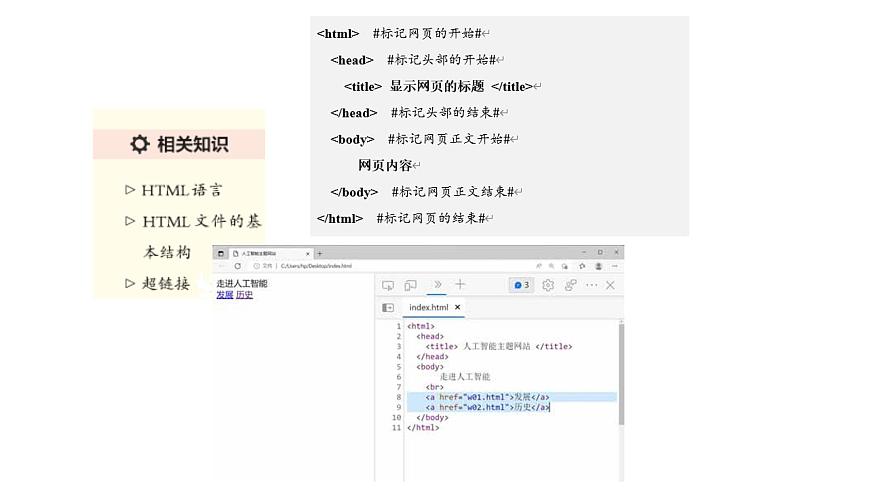 浙教版（2023）八上第7課 網(wǎng)頁的數(shù)據(jù)組織 課件第5頁