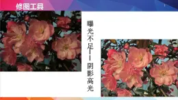 人教2021版（内蒙）2.1《调整色彩与添加特效》课件+教案