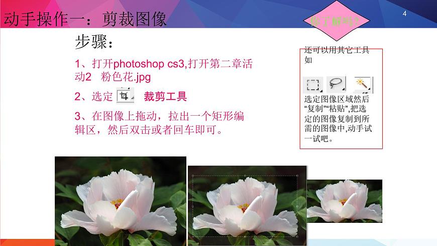 第二章活動2第一課時第4頁