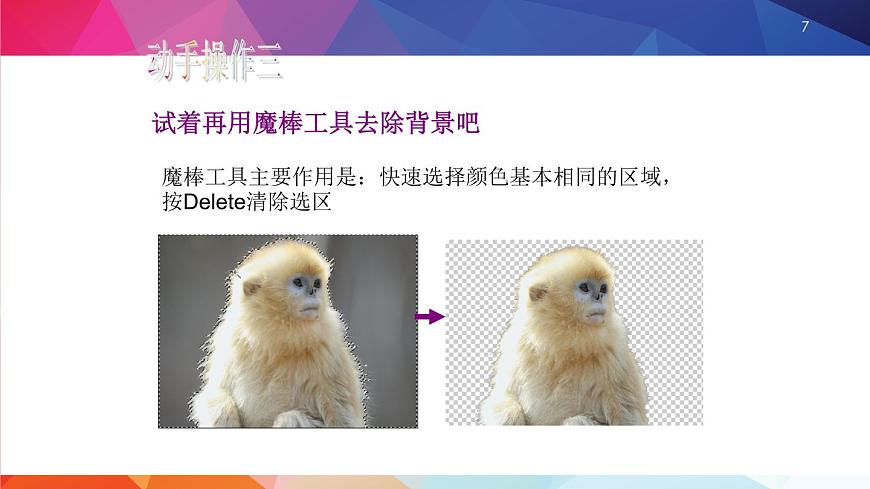 第二章活動2第一課時第7頁
