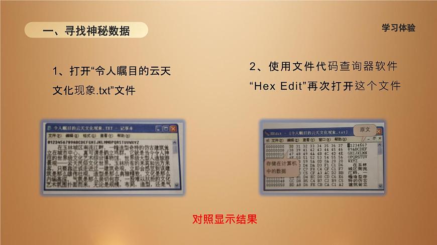 桂教版七年級下冊信息技術(shù) 1.4計算機中的神秘數(shù)據(jù) 課件第3頁