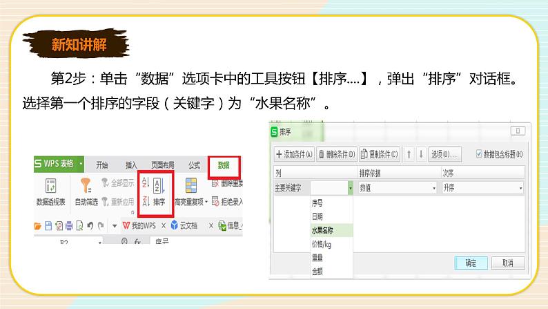 新世纪版七年级下册信息技术1.4 记录的排序和筛选 课件PPT第5页
