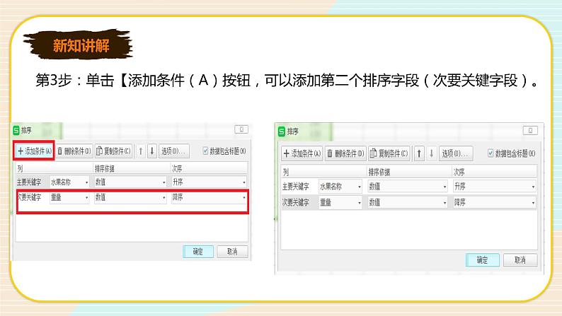 新世纪版七年级下册信息技术1.4 记录的排序和筛选 课件PPT第6页