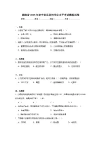 2025年湖南省初中信息科技学业水平考试模拟试卷(无答案)