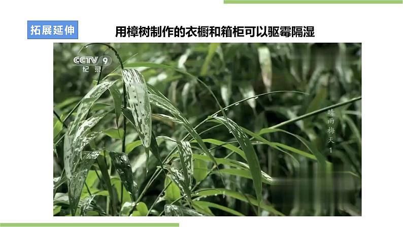 浙教版八年级上册项目二任务一《个性樟木条的制作》课件第8页