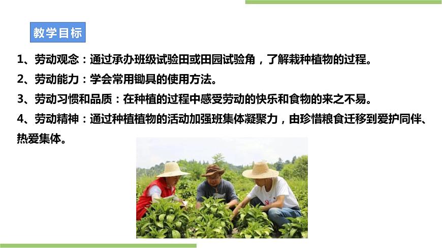 粵教版初中第二單元第1課《承辦班級試驗田·農(nóng)作物的種植與管理》課件第2頁