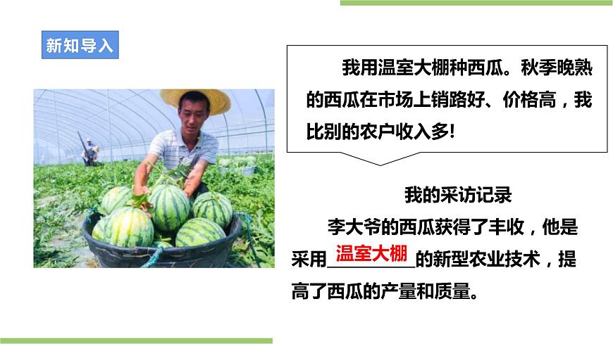 粵教版初中第二單元第1課《承辦班級試驗田·農(nóng)作物的種植與管理》課件第4頁