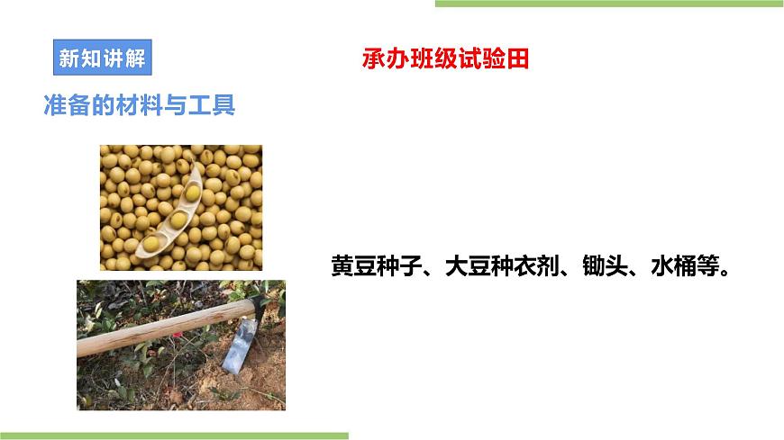 粵教版初中第二單元第1課《承辦班級試驗田·農(nóng)作物的種植與管理》課件第7頁