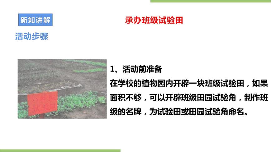 粵教版初中第二單元第1課《承辦班級試驗田·農(nóng)作物的種植與管理》課件第8頁