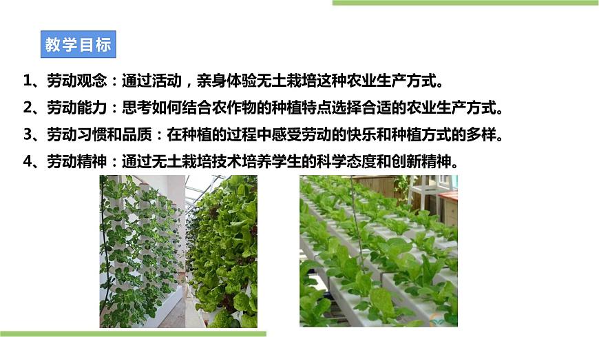粵教版初中第二單元第2課《發(fā)豆芽·無土栽培新技術》課件第2頁