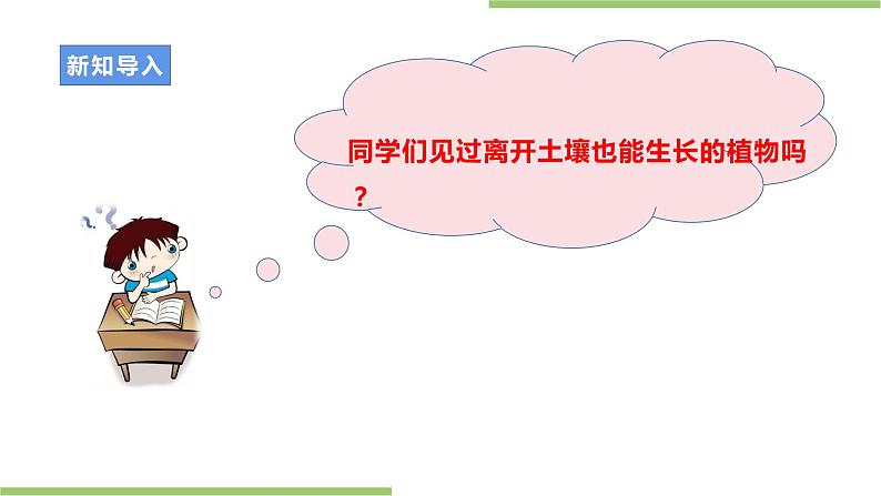粤教版初中第二单元第2课《发豆芽·无土栽培新技术》课件第3页