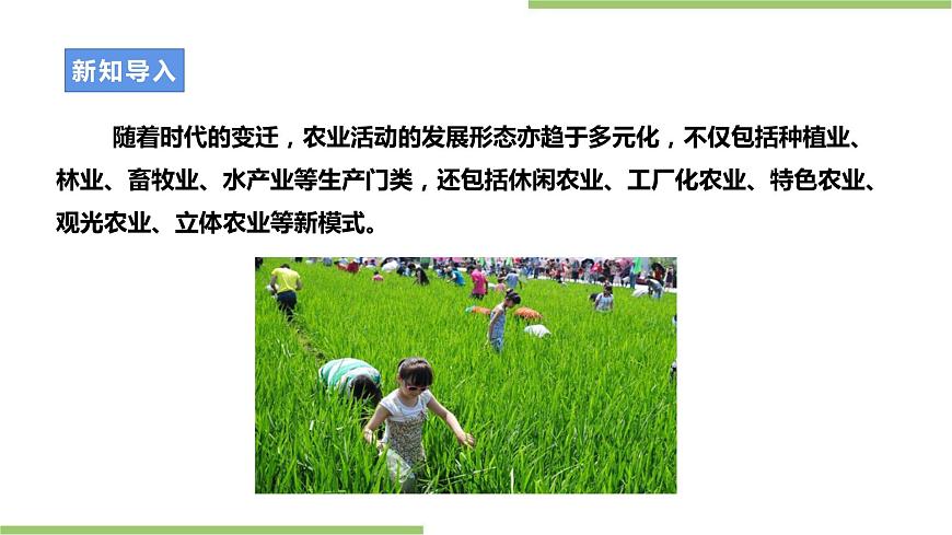 第二單元第4課實(shí)踐活動(dòng)《體驗(yàn)勞作耕種》課件第3頁(yè)
