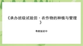 初中劳技第一课 承办班级试验田·农作物的种植与管理说课ppt课件