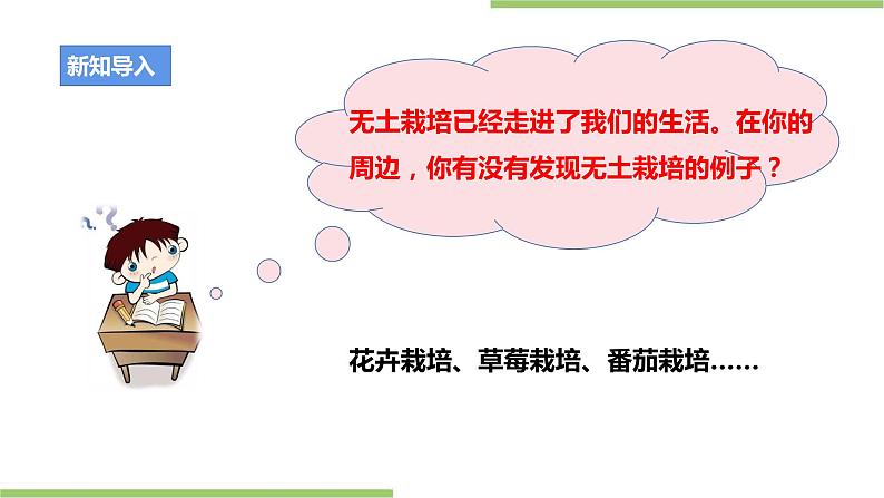 粤教版劳技初中第二单元第二课《发豆芽·无土栽培新技术》课件第7页